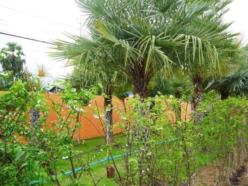Tinna Resort Ban Nong Mai Ngam Bagian luar foto